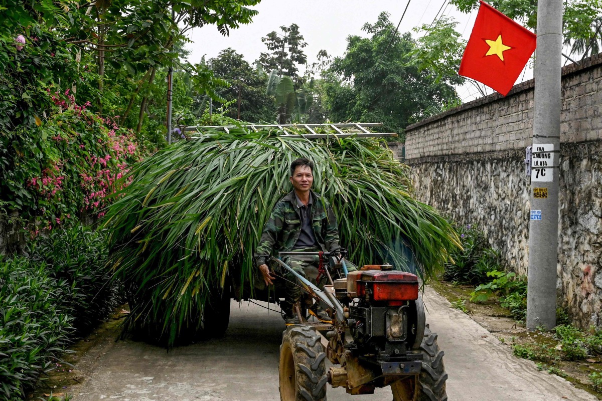 Vietnam says economy grew 7.83% in first quarter, 'difficulties' ahead